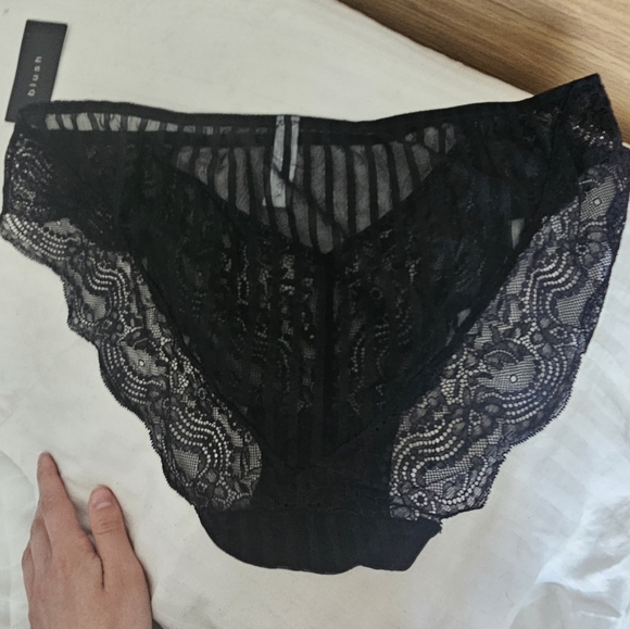 Sheer Desire Bikini Panty - Picture 4 of 5